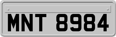 MNT8984
