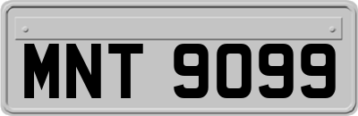 MNT9099