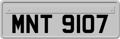 MNT9107