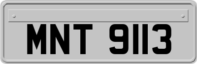 MNT9113