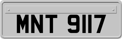 MNT9117