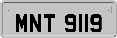 MNT9119