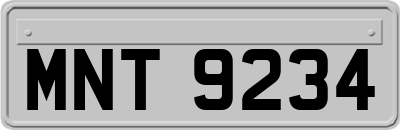 MNT9234