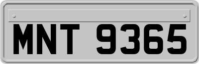 MNT9365
