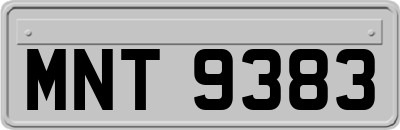 MNT9383