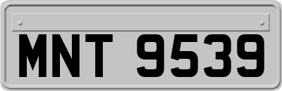 MNT9539