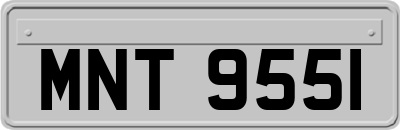 MNT9551