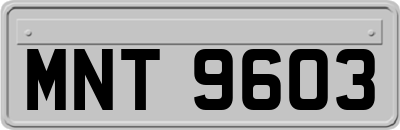 MNT9603