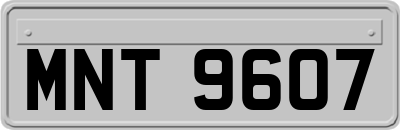 MNT9607