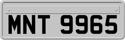 MNT9965