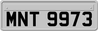 MNT9973