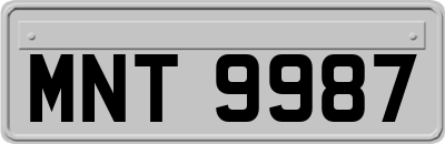 MNT9987