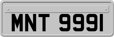 MNT9991