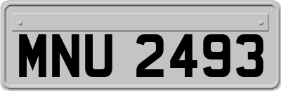MNU2493