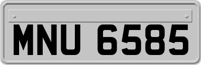 MNU6585