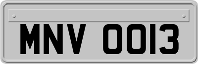 MNV0013