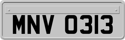MNV0313