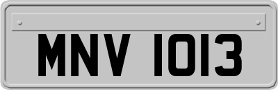MNV1013