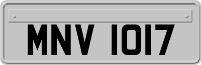 MNV1017