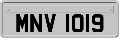 MNV1019