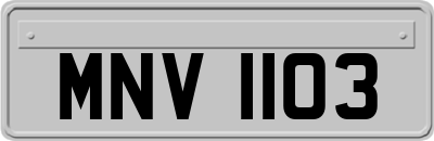 MNV1103