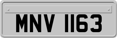 MNV1163