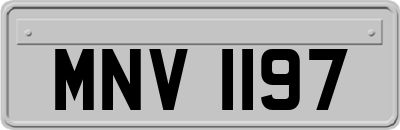 MNV1197