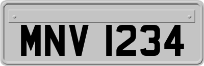 MNV1234