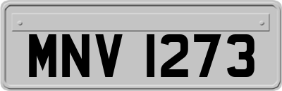MNV1273