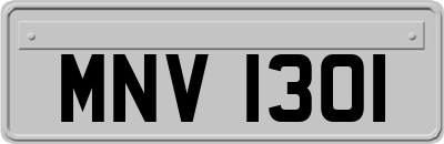 MNV1301