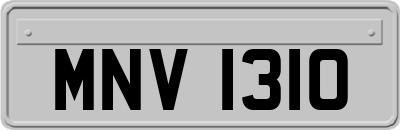 MNV1310
