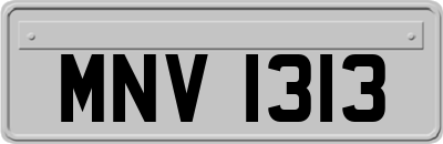 MNV1313