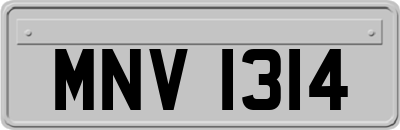 MNV1314