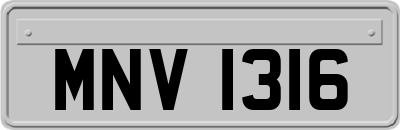 MNV1316