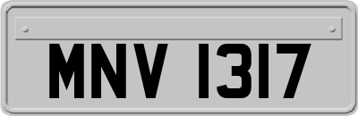 MNV1317