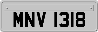 MNV1318