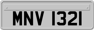 MNV1321