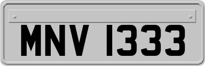 MNV1333