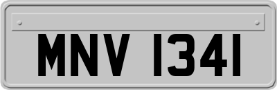 MNV1341