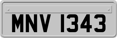 MNV1343
