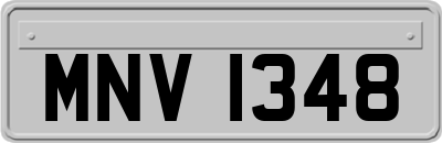 MNV1348