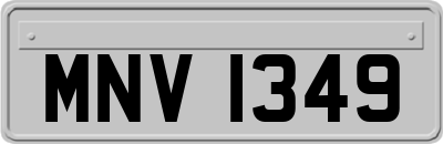MNV1349