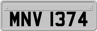 MNV1374