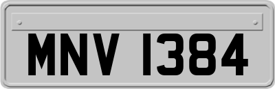 MNV1384