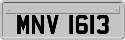 MNV1613