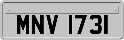 MNV1731