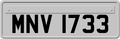 MNV1733