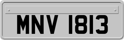 MNV1813