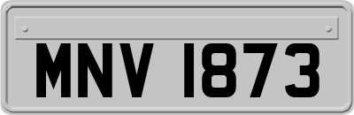 MNV1873