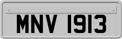 MNV1913